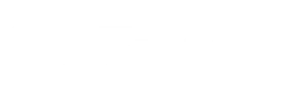 Logo Teetche blanc